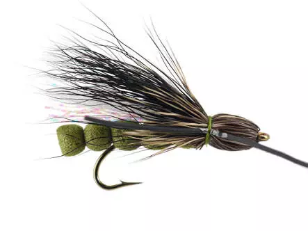 Roque Giant Olive