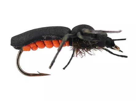 Fire Fly