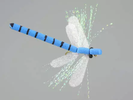 Large Dragonfly Blue