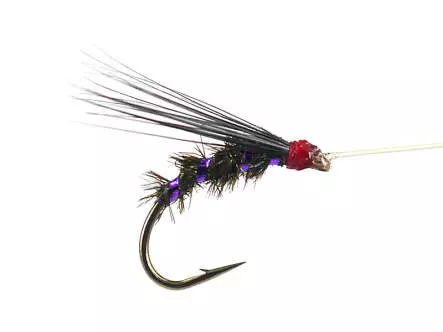 Riofranz Premium Violet