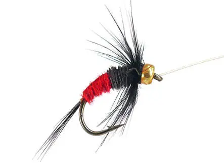 Rienz Premium BI Red