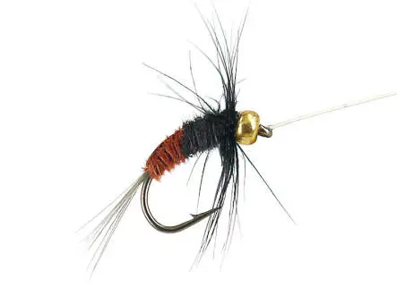 Rienz Premium BI Brown