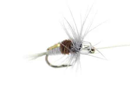 Rienz Premium BI Dun