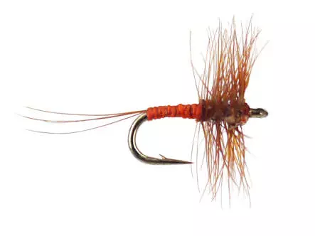 Small Red Allrounder