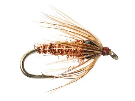 BH Soft Hackle - Pheasant Tail