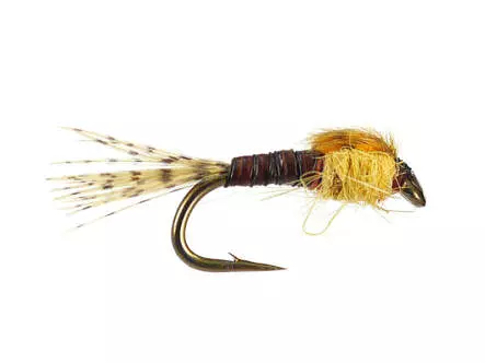 Olive Neanid Serie 04 - Light Orange