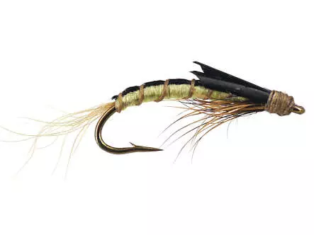 Olive Swimming Nymph - Tan