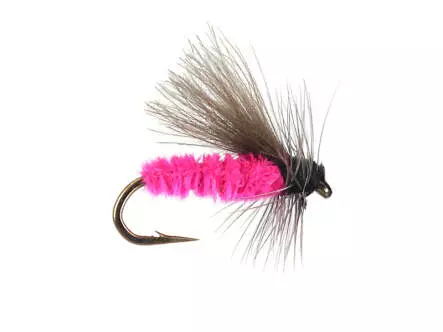 G1 Grayling CDC - Fucsia