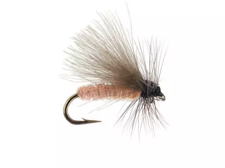G1 Grayling CDC - Salmon