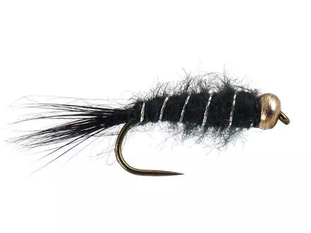 Black Basic BH Nymph BL