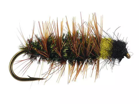 Classic Peeping Caddis Variant II