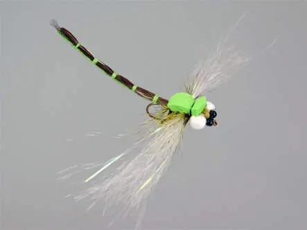 Superb Large Dragonfly Green