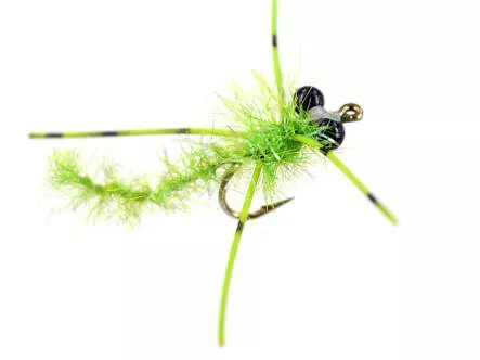 Shiny Chartreuse Dragonfly Nymph