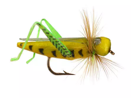 X-true Flying Hopper Green