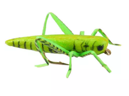 X-true Hopper Green