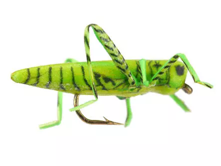 X-true Hopper Green