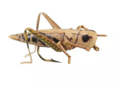 X-true Hopper Tan