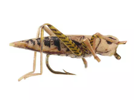 X-true Hopper Tan