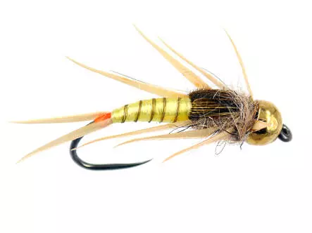 Pale Yellow Elite Stonefly Nymph TG BL