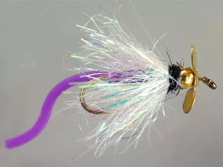 Siliroto Evo Purple