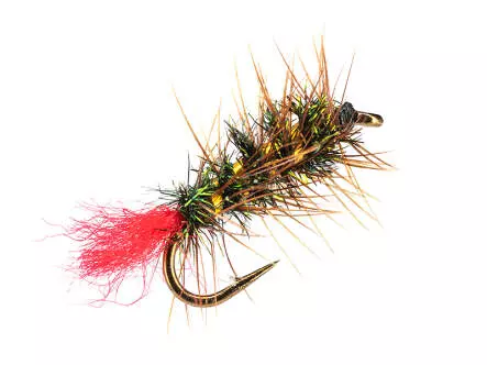 Grayling Witch