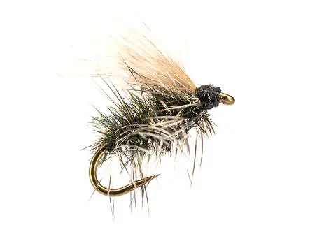 Griffits Gnat CDC