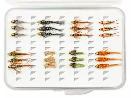 Selección NINFAS CABEZA DORADA EVERY DAY - 24...