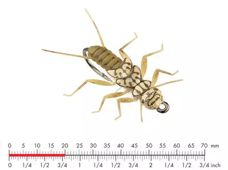 Tungsten Stonefly Nymph 3 Olive Brown