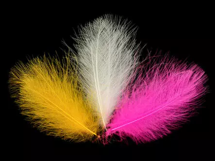 Plumas de CDC Cul de Canard EVO SELECTED hotfly - 1 g
