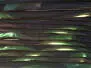 MAGIC TINSEL CP textreme - 0,8 mm + 1,6 mm - 150 cm + 150 cm - black