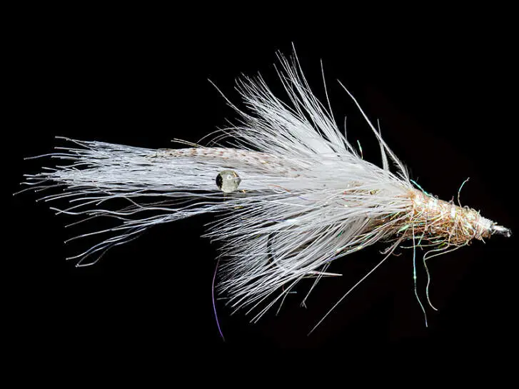 MW Good Year Shrimp Cream