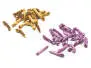 CUERPOS GUSANOS DE MIEL hotfly - 25 pc.