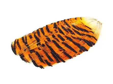 CUELLO DE FAISAN DORADO PREMIUM COLLAR hotfly