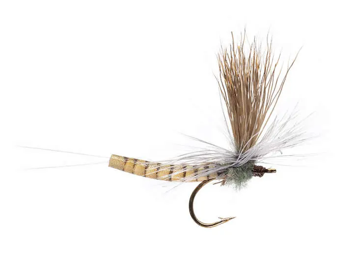 Elk Wing Mayfly Grey 12