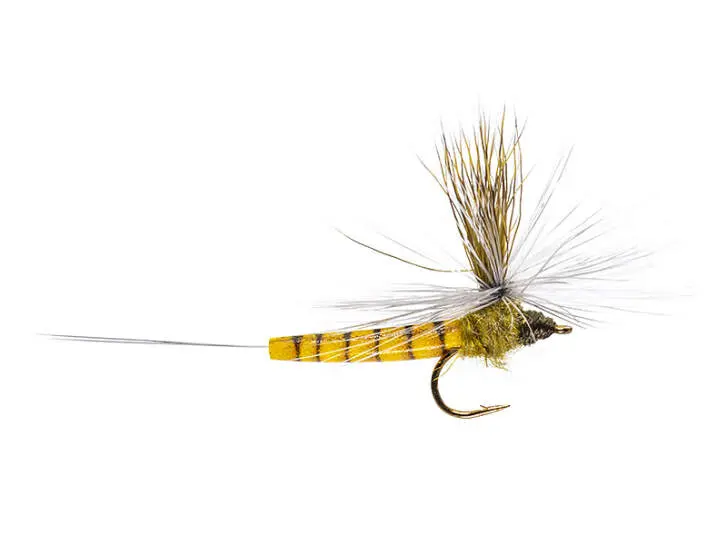 Elk Wing Mayfly Olive 14
