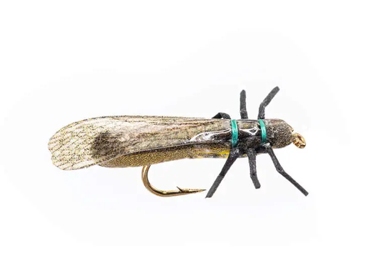 Skwalla 10