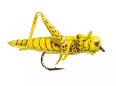 X-True Hopper Yellow