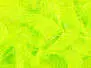 CACTUS NEON CHENILLE hotfly - 15 mm - chartreuse