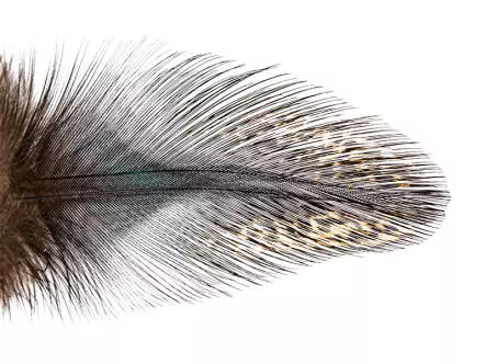 PLUMAS COQ DE LEÒN PARDO grade 2 hotfly - 10 pz.