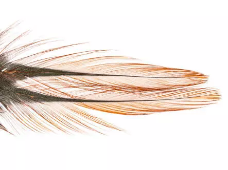 PLUMAS COQ DE LEÒN INDIO grade 2 hotfly - 10 pz.