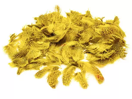 PLUMAS DE PERDIZ INGLESA hotfly - 2 g - dyed yellow