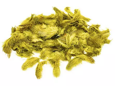 PLUMAS DE PERDIZ INGLESA hotfly - 2 g - dyed olive