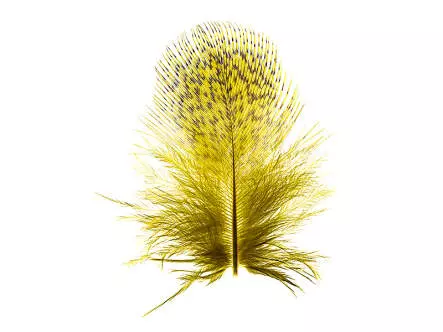 PLUMAS DE PERDIZ INGLESA hotfly - 2 g - dyed olive