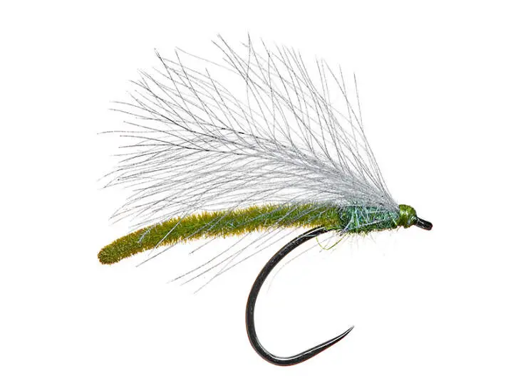 Allis Olive Last Solution BL 10