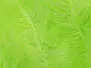 FLUO GLOW CHENILLE hotfly - 15 mm fluo charteuse