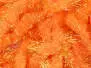 JELLY EGG CHENILLE hotfly - 10 mm - 200 cm - orange