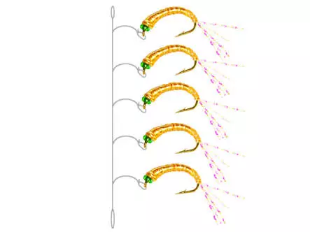 Camolera Alosa agone FLASHABOU YELLOW