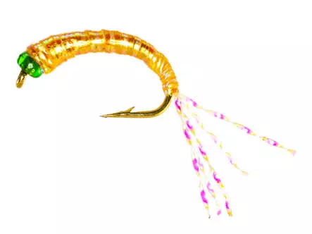 Camolera Alosa agone FLASHABOU YELLOW