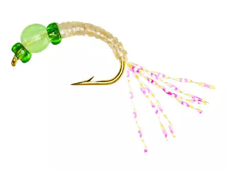 Camolera Alosa agone EVERGLOW GREEN