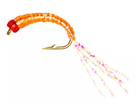 Camolera Alosa agone FLASHABOU SALMON ORANGE